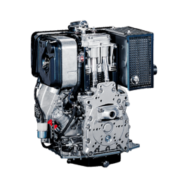 Hatz Motor 1D90